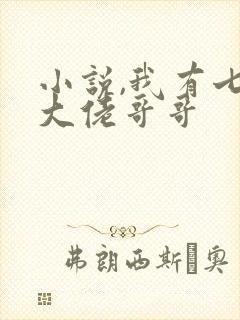 小说,我有七个大佬哥哥封面