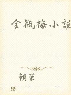 金瓶梅小说