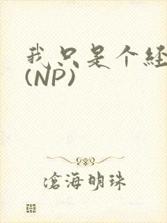 我只是个经纪人(NP)封面
