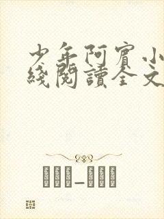 少年阿宾小说在线阅读全文目录