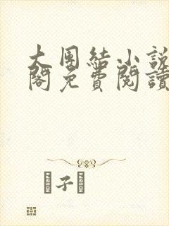 大团结小说笔趣阁免费阅读封面