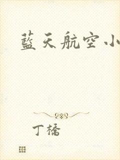 蓝天航空小说