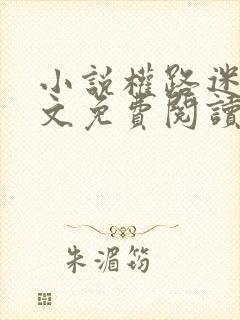 小说权路迷局全文免费阅读全文