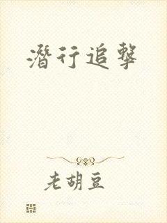 潜行追击