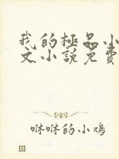 我的极品小姨全文小说免费阅读封面