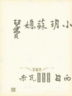 儿媳苏玥小说免费