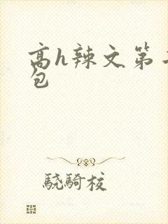 高h辣文第二书包