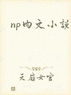 np肉文小说