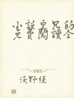 小说皇兄的禁脔免费阅读全文
