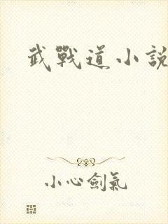 武战道小说封面
