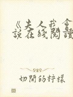 《夫人我会》小说在线阅读