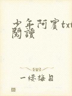 少年阿宾txt阅读封面