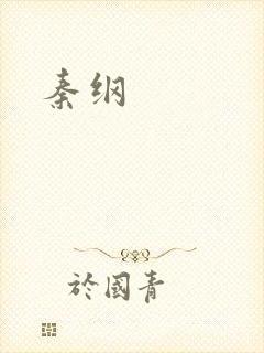 秦纲封面