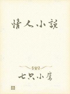 情人小说