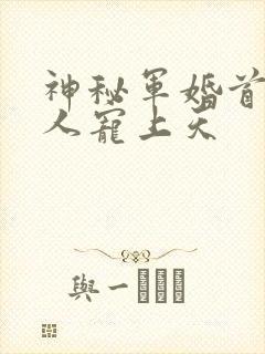 神秘军婚首长大人宠上天