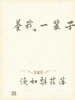 养我一辈子封面