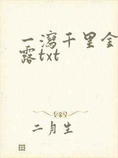 一泻千里金银花露txt