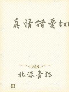 真情错爱txt