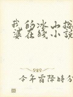 我的冰山总裁老婆在线小说