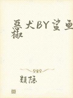 恶犬BY鲨鱼辣椒