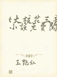 t大校花三部曲小说免费阅读全文封面