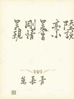 吴刚吴亮陆婷婷亲情会小说结局