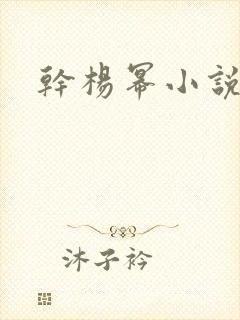 干杨幂小说