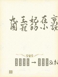 九王妃在京城当团宠的小说