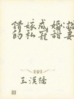 错嫁成婚:总裁的私宠甜妻 风亭