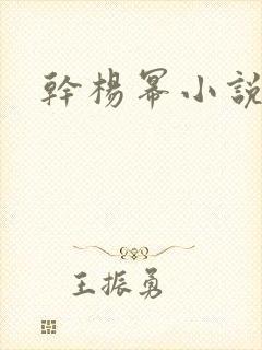 干杨幂小说