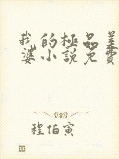 我的极品美女老婆小说免费阅读全文