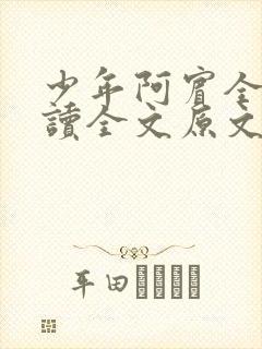 少年阿宾全文阅读全文原文