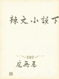 辣文小说下载