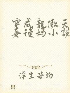 穿成龙傲天的小妾后妈小说最新章节更新内容