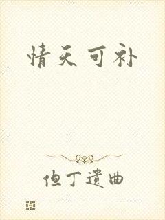 情天可补