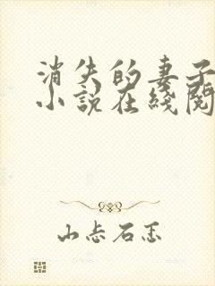消失的妻子素素小说在线阅读