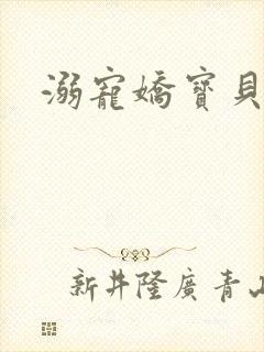 溺宠娇宝贝封面