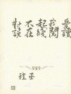 对不起我爱你小说在线阅读