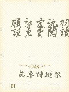 顾祁宸沈羽栀小说免费阅读最新章节封面
