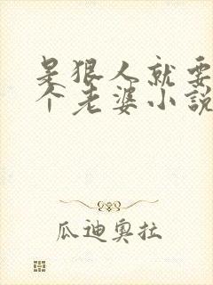 是狠人就要娶四个老婆小说阅读