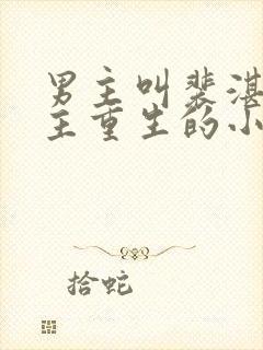 男主叫裴湛,女主重生的小说