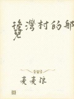后湾村的那些事儿封面