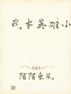 我本英雄小说