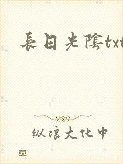 长日光阴txt