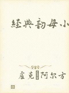 经典韵母小说封面