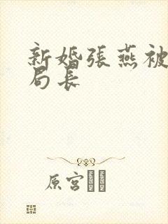 新婚张燕被两个局长