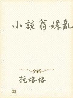 小说翁媳乱