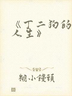 《丁二狗的逆袭人生》