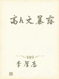 高h文暴露封面