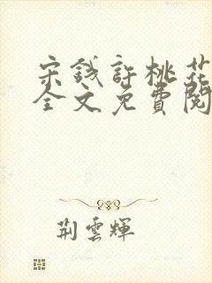宋钱许桃花小说全文免费阅读封面